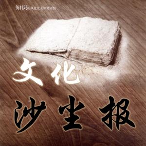 文化沙尘报