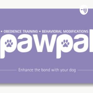 The Pawpal Podcast