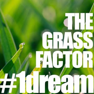The Grass Factor by The Grass Factor