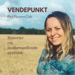 Vendepunkt by Marianne Eide