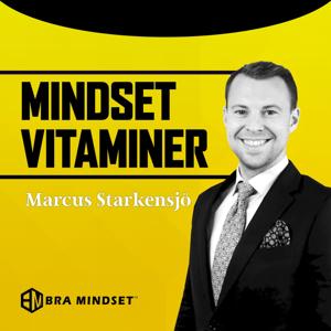 Mindset Vitaminer