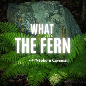 What The Fern