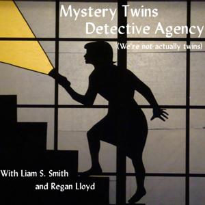 Mystery Twins Detective Agency