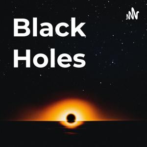Black Holes