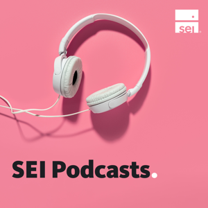 SEI Podcasts
