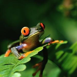 Странный юмор