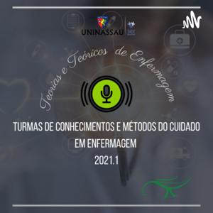 Teorias e Teóricos de Enfermagem