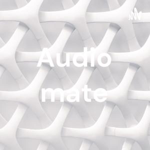 Audio mate