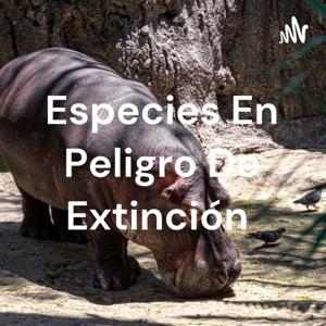 Especies En Peligro De Extinción