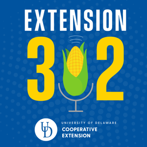 Extension302
