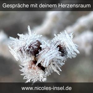 Gespräche mit deinem Herzensraum