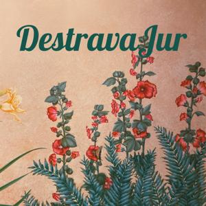 DestravaJur