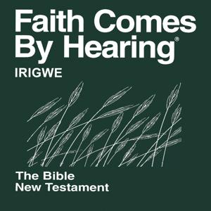 Irigwe Bible (Non-Dramatized)