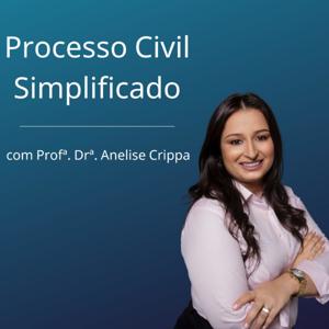 Processo Civil Simplificado