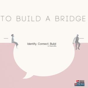 To Build a Bridge; strengthening democracy one person at a time.