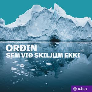 Orðin sem við skiljum ekki