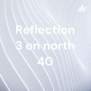 Reflection 3 on north 40