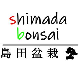 Shimada Bonsai