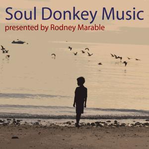 Soul Donkey Music