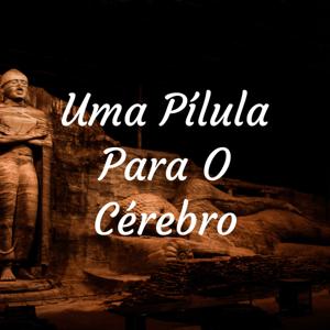 Uma Pílula Para O Cérebro