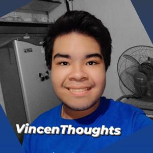 VincenThoughts
