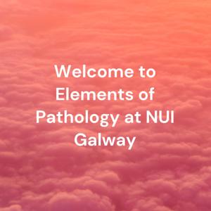 Welcome to Elements of Pathology at NUI Galway - Class Podcasts