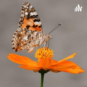 Facts About Butterflies