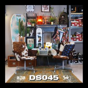 DS045
