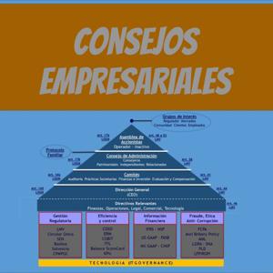 Consejos empresariales - Institucionalización y Largo Plazo. Fortalecimiento de la empresa familiar