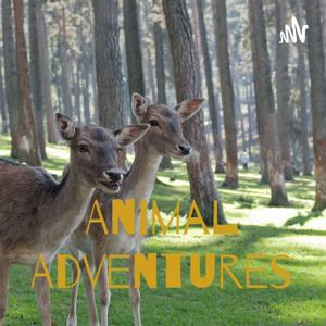 Animal Adventures