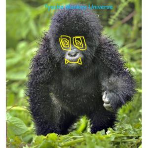 Psycho Monkey Universe Podcast