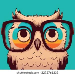 THE ATHENA´S OWL