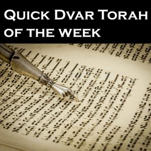 Quick Dvar Torah of the week