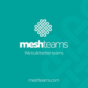 Mesh Teams Podcast