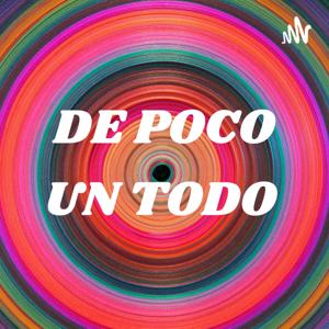 DE POCO UN TODO