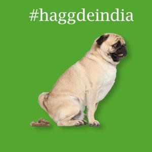 Hagg De India