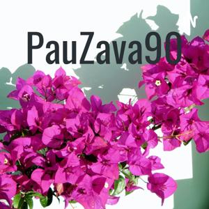 PauZava90