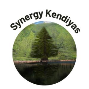 Synergy Kendiyas