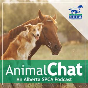 AnimalChat - An Alberta SPCA Podcast