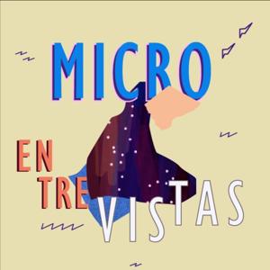 Microentrevistas