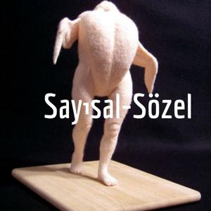 Sayısal-Sözel