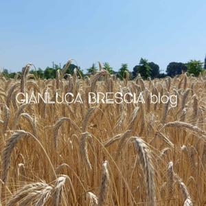 Gianluca Brescia blog