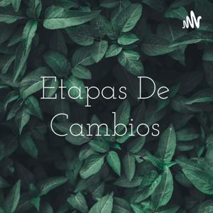 Etapas De Cambios