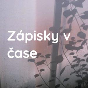 Zápisky v čase