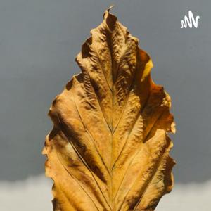 This is Amel’s speaking