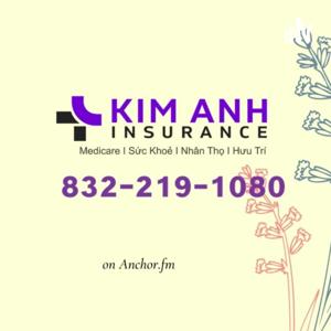 Kim Anh Insurance