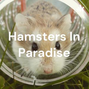 Hamsters In Paradise