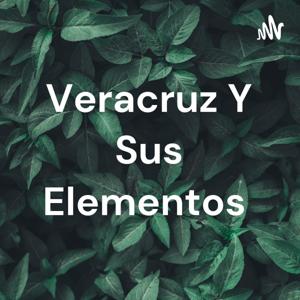 Veracruz Y Sus Elementos