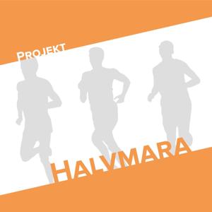 Projekt: Halvmara