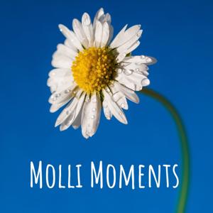 Molli Moments